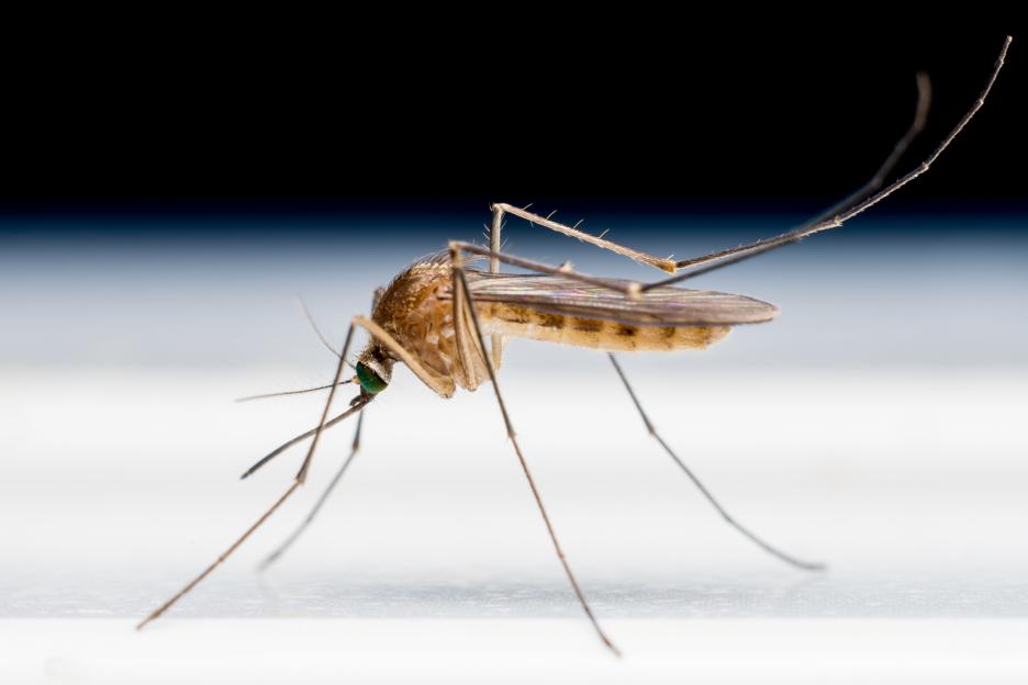 Map reveals how deadly paralysing virus often mistaken for flu is edging towards the UK – with 38 dead