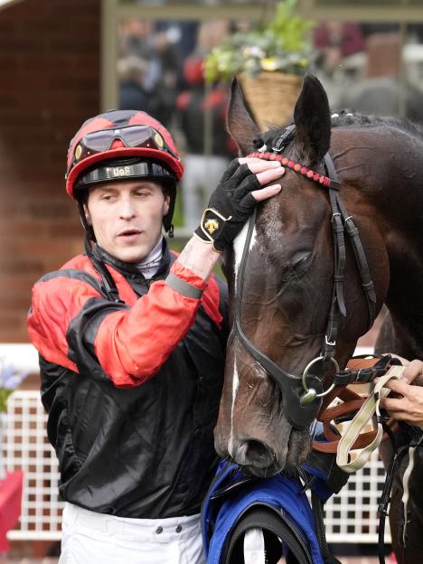 Pontefract Races - Monday, October 20th