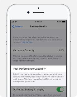iPhone battery health screen showing 95% maximum capacity and peak performance capability disabled.