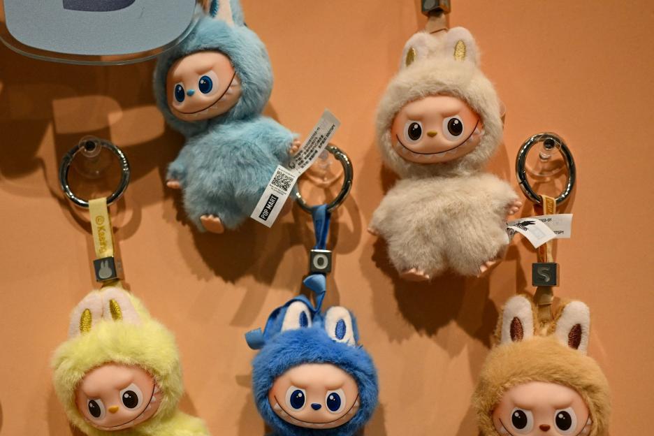 Parents go wild for Home Bargains’ £2.99 version of toy selling for hundreds – saying it’s the perfect stocking filler