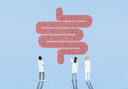 Illustration of three scientists examining a large illustration of the human intestine filled with bacteria.