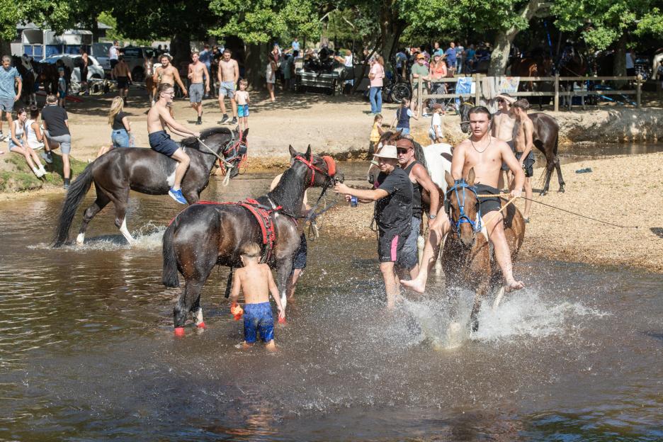 Horses and riders splashing in a river.