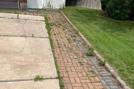 The £14.50 Wickes buy people are swearing by to get rid of weeds on their driveway for GOOD