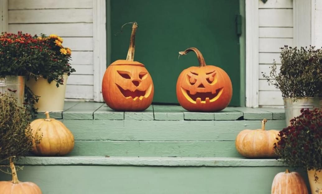 Lynsey Crombie's Simple and Safe Trick to Keep Carved Pumpkins Fresh and Mold-Free!
