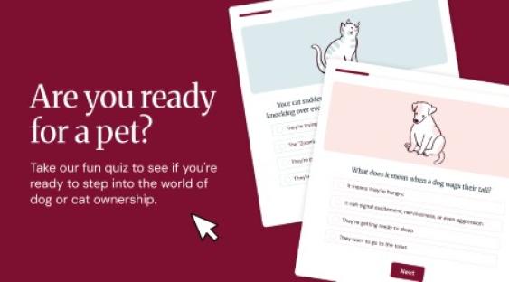 Illustration of a quiz to determine pet ownership readiness.