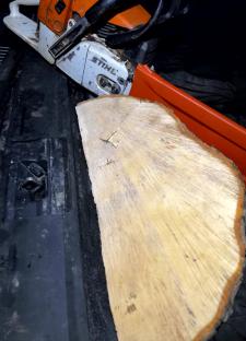 Chainsaw and tree trunk section in a vehicle's cargo area.