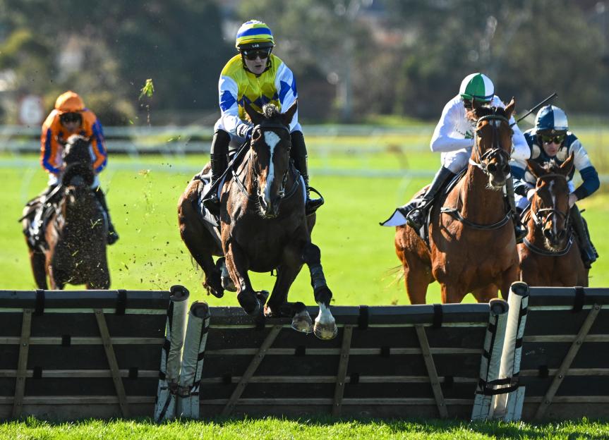 Jockey Jordan Hart riding Highland Blaze wins a horse race, jumping a hurdle.