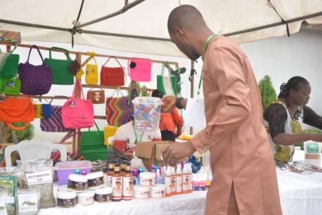 The EcoAction Summit Activates in Delta State, Nigeria! Get the Scoop 13