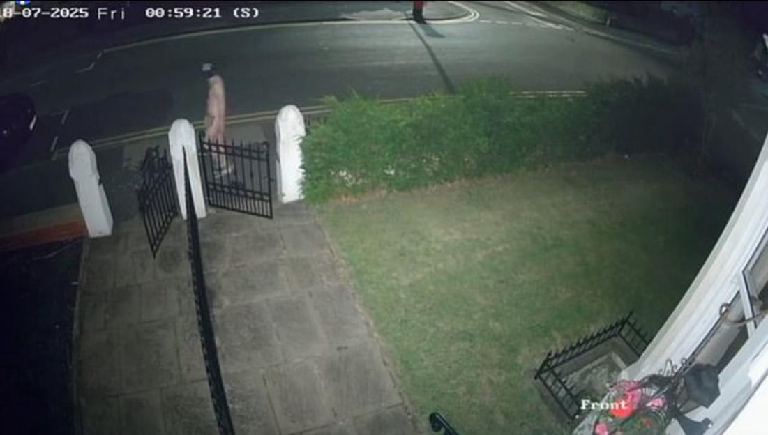 Security camera footage of a person in a gimp mask walking down a residential street.