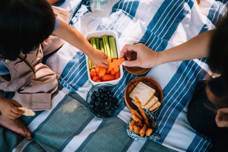 Young family eating carrots, celery, blueberries, crackers and cheese sticks while relaxing on picnic blanket in the park on a sunny day. Healthy eating. Healthy family lifestyle.