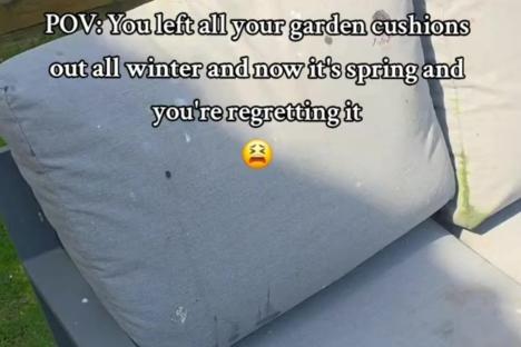 The £1 buy that’ll transform mouldy outdoor furniture & it’s especially good if you’ve left your cushions out all winter