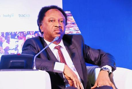 Desist from nepotism in key appointments – Shehu Sani urges Tinubu