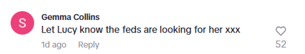 Screenshot of a social media comment: