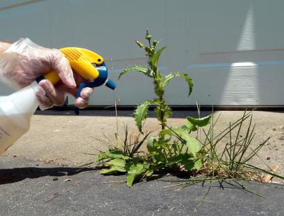 Gardeners warned against viral patio hack using 35p kitchen essential that could destroy your garden