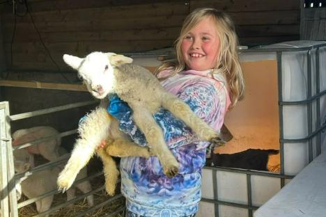 Number of Brits ‘horrendously ill’ with parasite after visiting petting farm rises to 81, as 16 in hospital