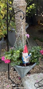 Hanging planter with gnome and flowers.