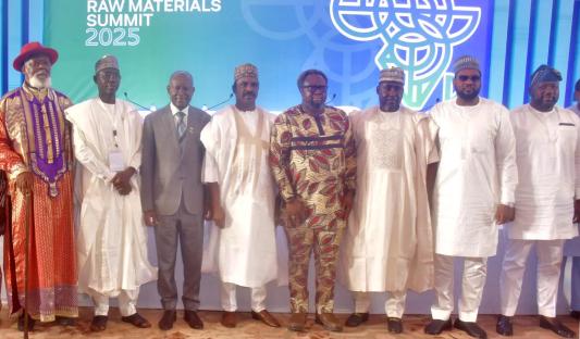 Economy: Our exported raw materials must undergo 30% local value addition – Nigerian Senate
