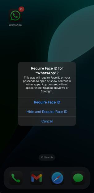 WhatsApp Face ID prompt.