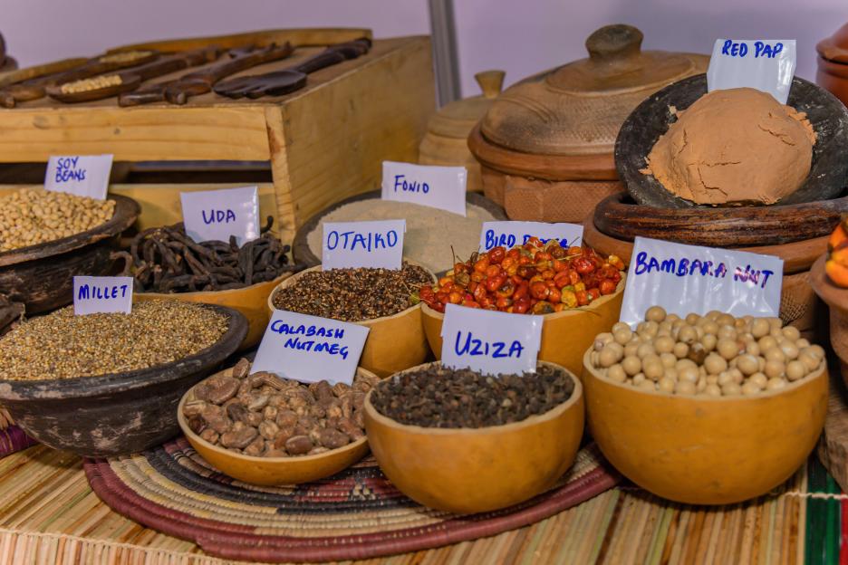 Nigeria Food Summit 2025 Sets Agenda for Positioning Nigerian Cuisine on the Global Stage. 3