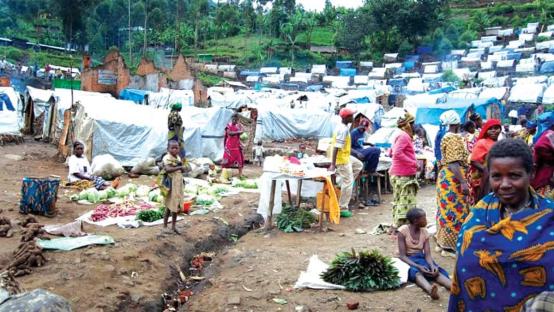 NEMA raises alarm over rising social vices in Borno IDP camp