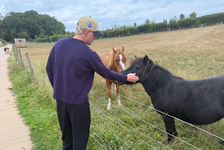 Man petting two ponies through a fence.