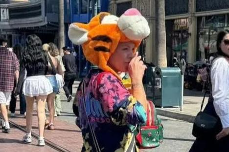 Huge pop star goes incognito as she walks around Disneyland in disguise – would you have spotted her?
