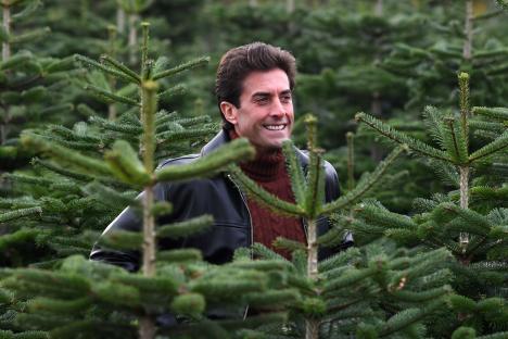 Man standing among Christmas trees.