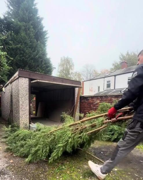 A person in red gloves dragging a large tree branch past an open garage.