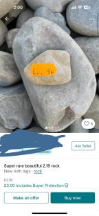 Photo of a rock for sale online for £2.19.