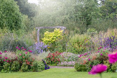 Vibrant flower garden with wooden arch.