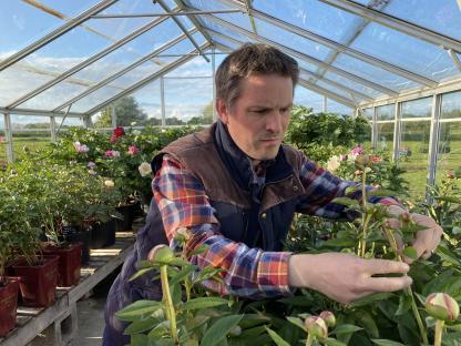 I’m a Peony Expert – my 10 essential tips will keep them flourishing for months