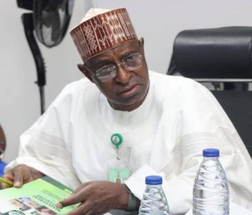 Nigerian govt to promote bee keeping for job creation, improved income – Minister