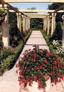 Gravel path lined with flowers and a wooden pergola.