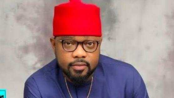 Two more PDP Govs, 40 lawmakers will soon defect – Ugochinyere warns part leaders