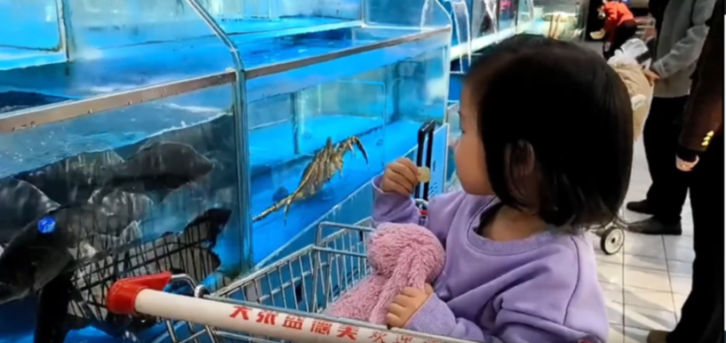 Shocking-moment-supermarket-fish-leaps-1036315171