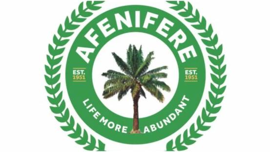 Afenifere warns against plot to scuttle Tinubu’s second term ambition
