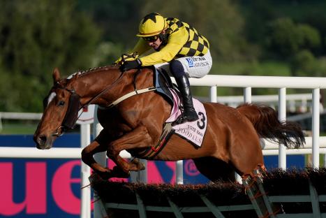 State Man wins at Punchestown but Constitution Hill runs a dismal race and is beaten out of sight