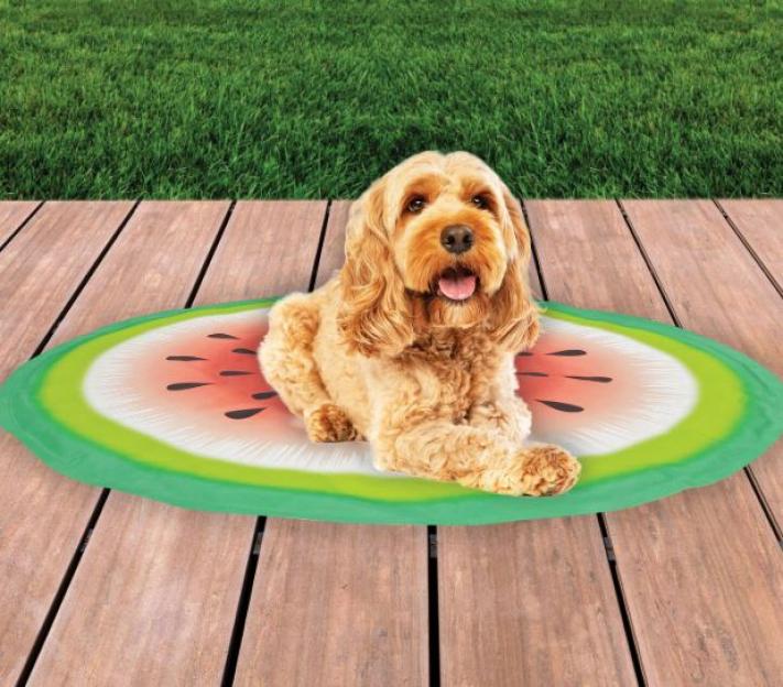 Dog lying on a watermelon-shaped pet cooling mat.