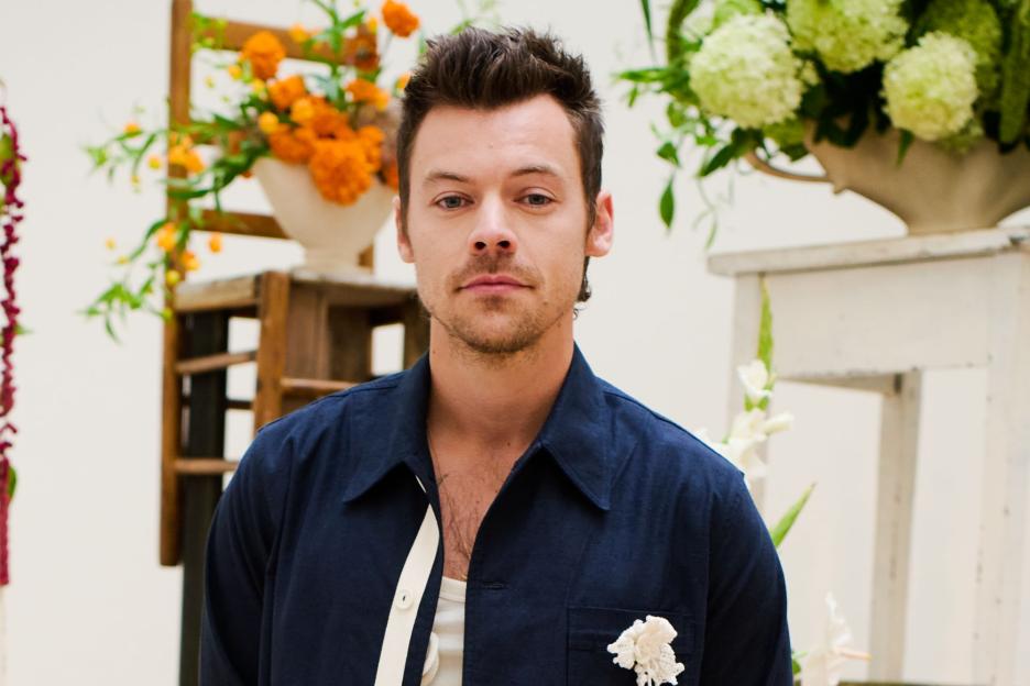 Harry Styles buys FOURTH mansion in same street as he plans to rival Ed Sheeran’s estate with secluded compound