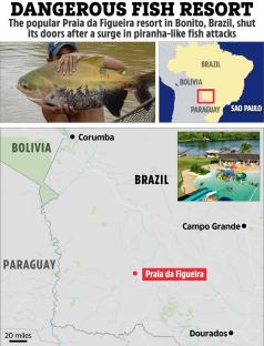 Map showing the location of Praia da Figueira resort in Brazil, which closed due to piranha-like fish attacks, and a photo of a large fish.