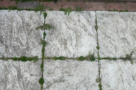 I’m fed up with annoying weeds ruining my patio so tried 3 viral hacks to get rid of them – a FREE trick worked a treat