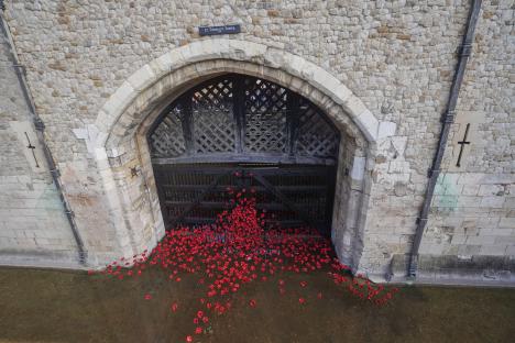 Ceramic poppies spilling from Traitor's Gate at the Tower of London.