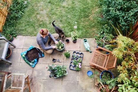Lidl is selling a £5 gizmo to help take the load off gardening and save your back this summer