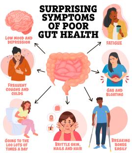Illustration of surprising symptoms of poor gut health, including low mood, fatigue, frequent coughs and colds, gas and bloating, frequent bowel movements, brittle skin and hair, and easily breaking bones.