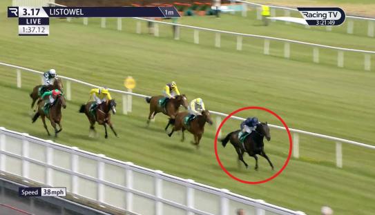 100-1 Royal Ascot horse ‘could be one of the biggest gambles ever’ after odds DESTROYED for top trainer