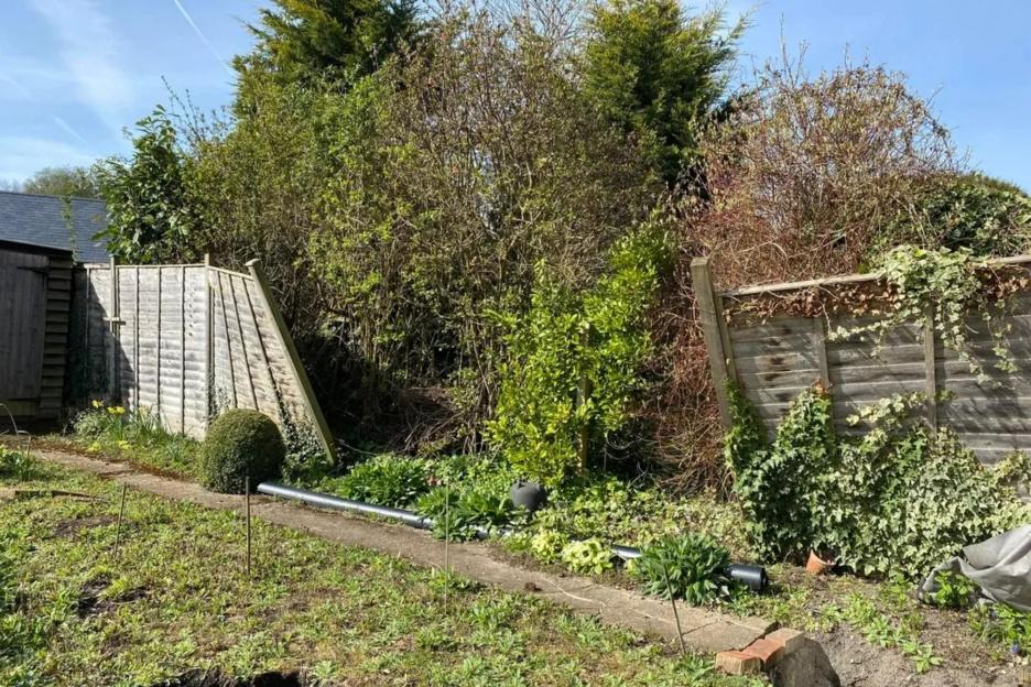 My neighbour let his fence fall down so I grew plants in the gaps, now he’s complaining at MY ‘neglected’ garden
