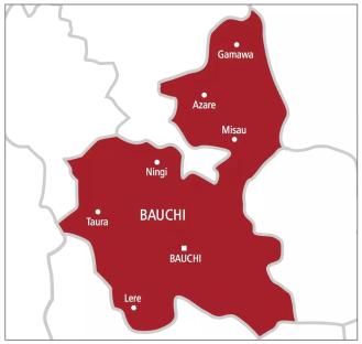 40-yr-old Bauchi woman sexually assaults 12-yr-old male househelp