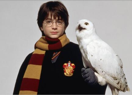 Harry Potter with Hedwig.