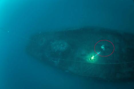 Divers exploring the wreck of the SS Nantes.