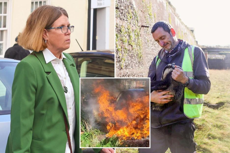 Woman who torched neighbour’s Land Rover because she thought his rescue badgers killed local cat is spared jail